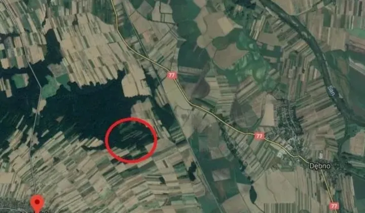 Działka leśna Grodzisko Górne