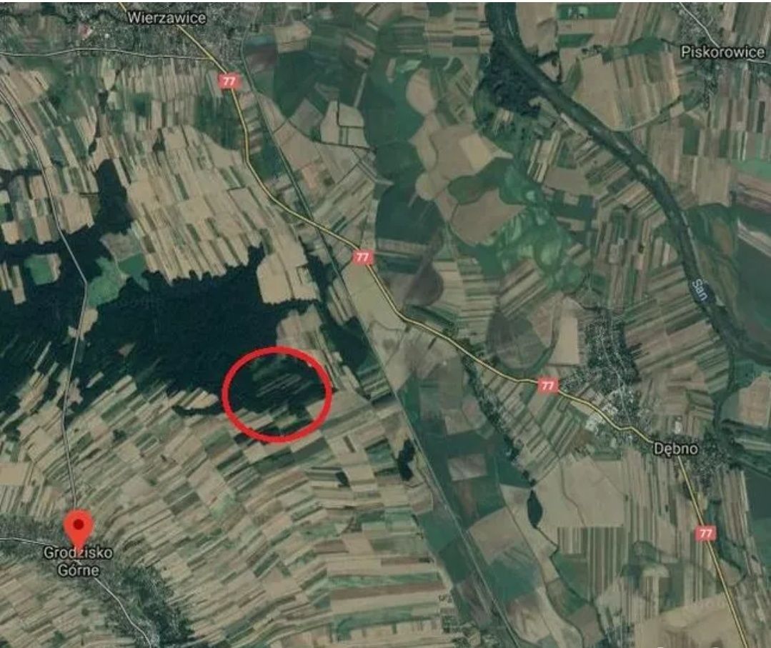 Działka leśna Grodzisko Górne