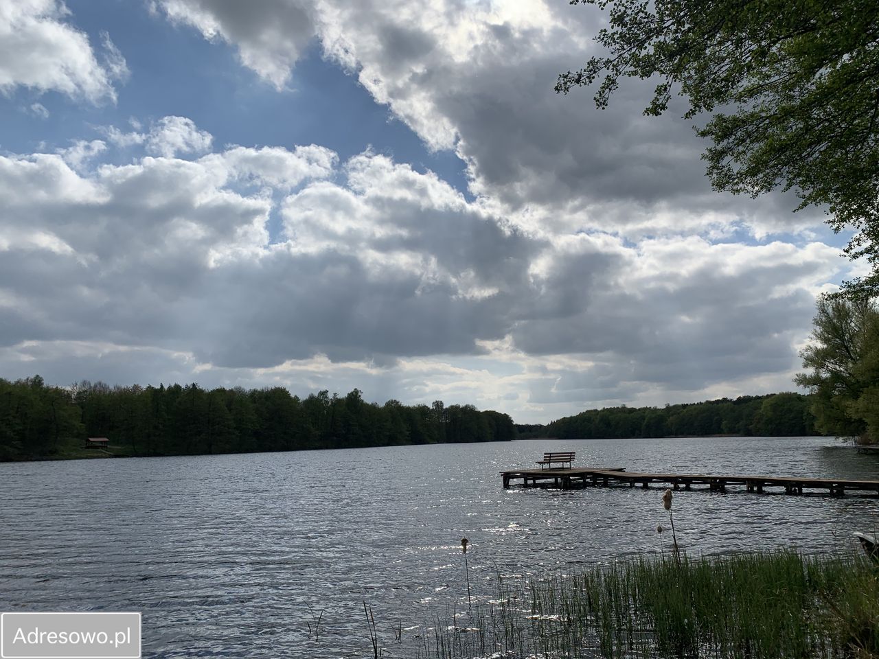 Działka budowlana Miałka. Zdjęcie 17