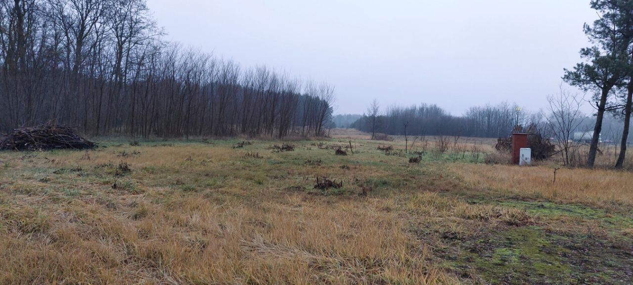 Działka inwestycyjna Gurba, ul. Główna. Zdjęcie 3