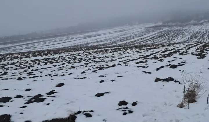 Działka budowlana Górki, ul. Słoneczna