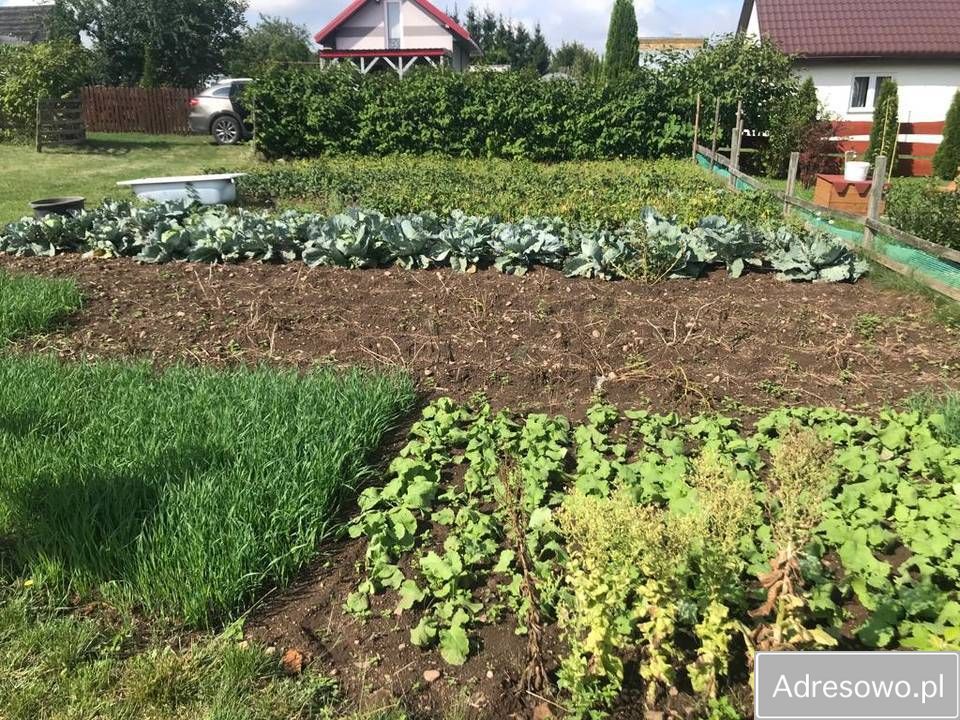 Działka rod Kuków. Zdjęcie 6