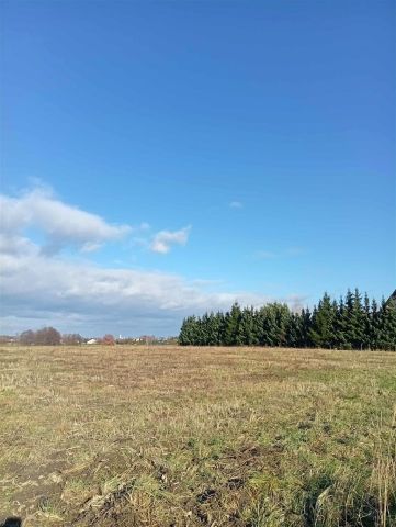 Działka budowlana Kopciowice, ul. Osada. Zdjęcie 4