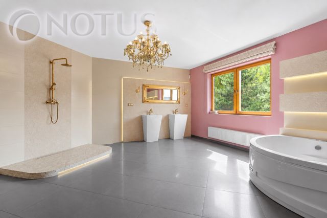dom wolnostojący, 10 pokoi Dąbrowa Górnicza. Zdjęcie 3