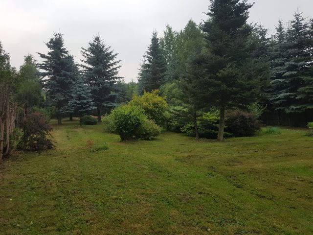 Działka budowlana Ostrowiec Świętokrzyski Gutwin, ul. Gajowa. Zdjęcie 1