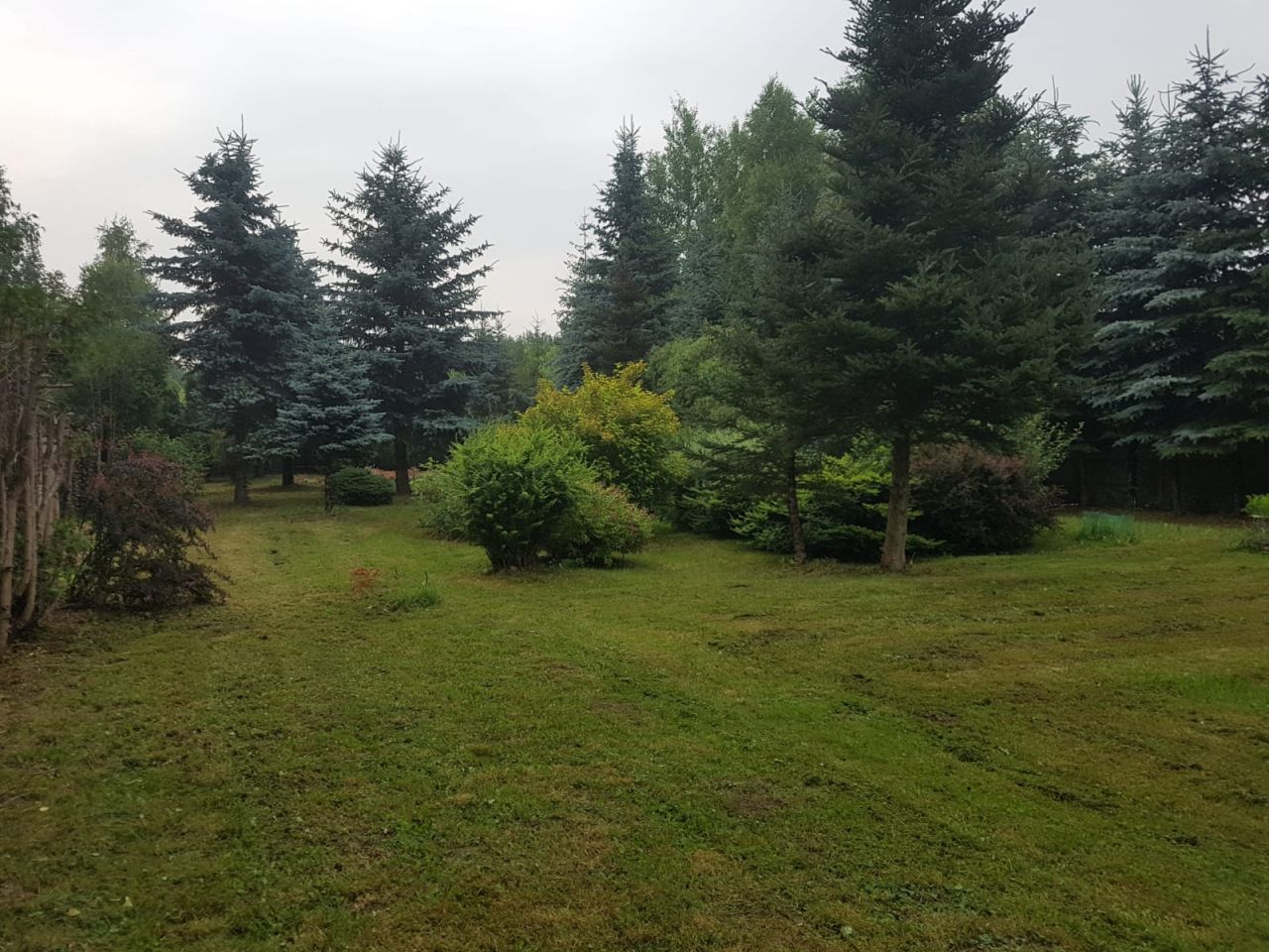 Działka budowlana Ostrowiec Świętokrzyski Gutwin, ul. Gajowa