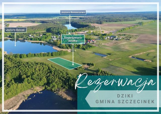 Działka budowlana Dziki. Zdjęcie 1