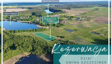 Działka budowlana Dziki