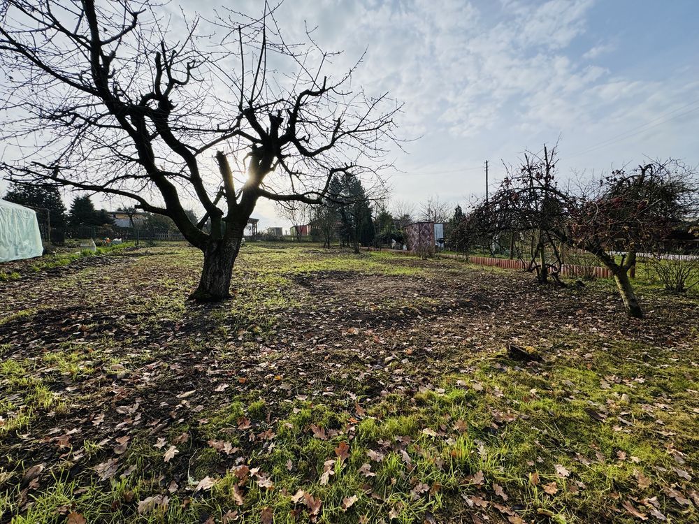 Działka rod Gostyń. Zdjęcie 3