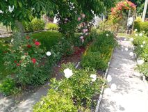 Działka rod Zabrze. Zdjęcie 3