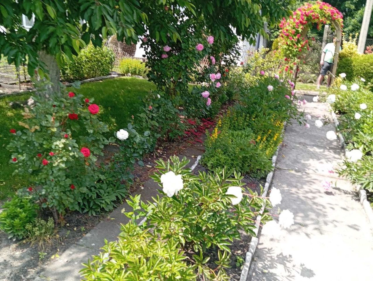 Działka rod Zabrze. Zdjęcie 4