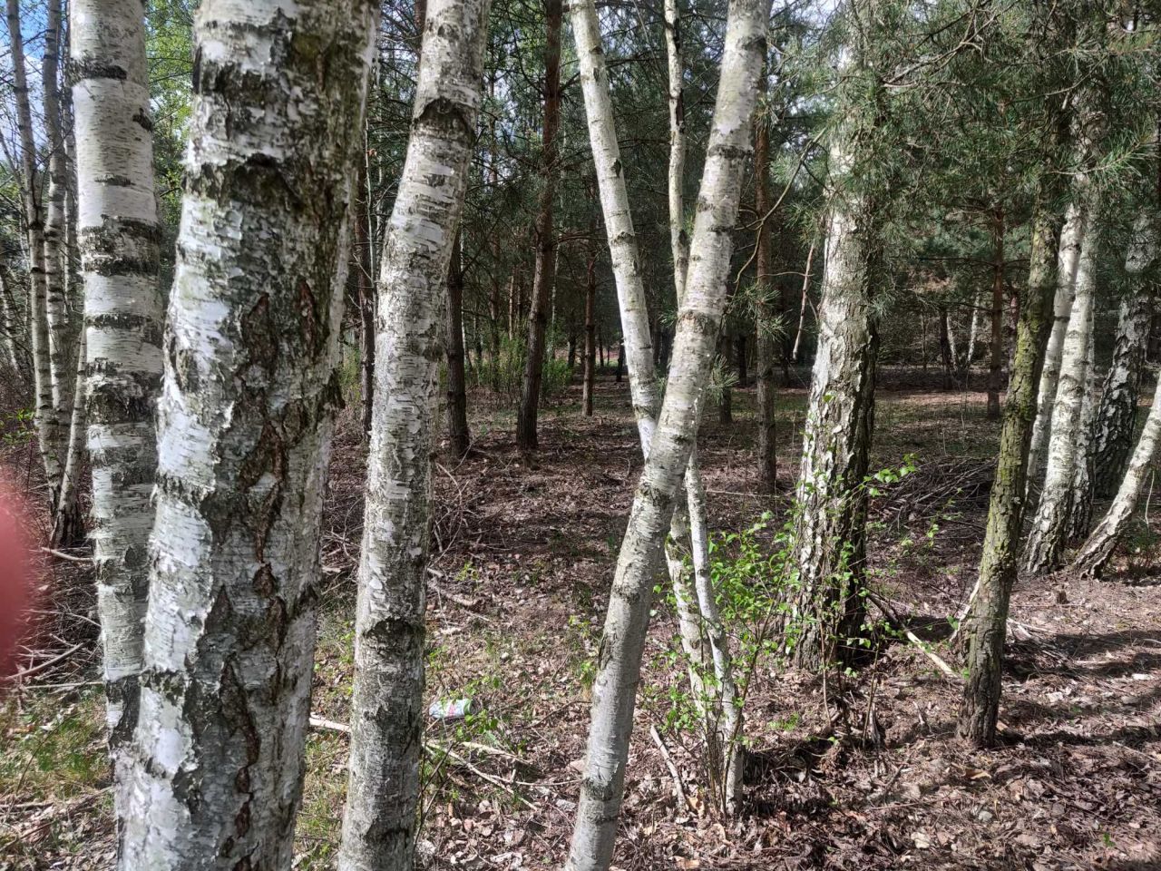 Działka budowlana Makówka, ul. Chmielna. Zdjęcie 5