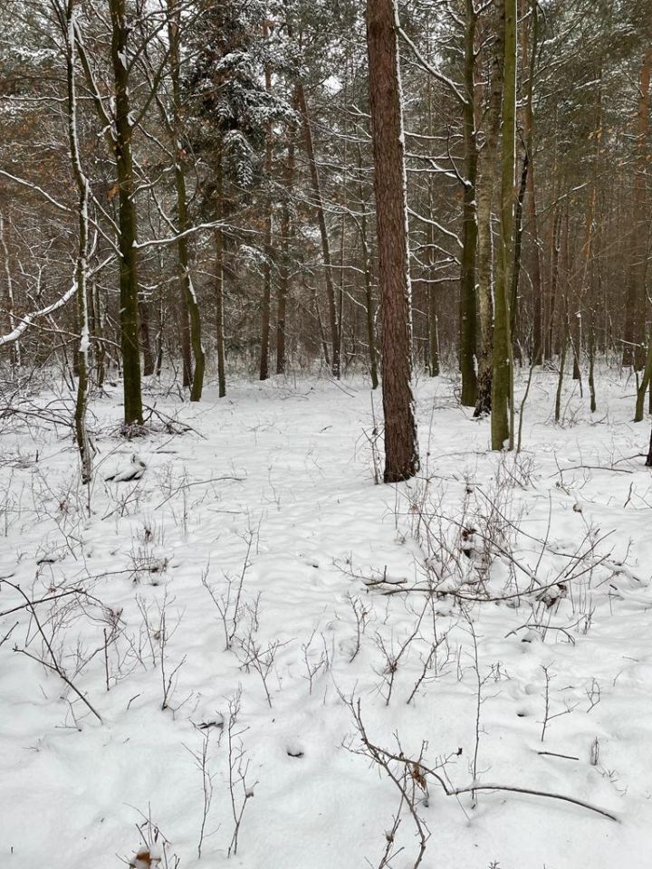 Działka budowlana Huta Szumy. Zdjęcie 6