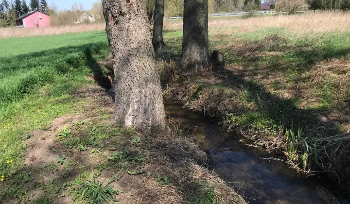 Działka rolno-budowlana Wysokie Koło