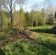 Działka siedliskowa Targoszów. Zdjęcie 5