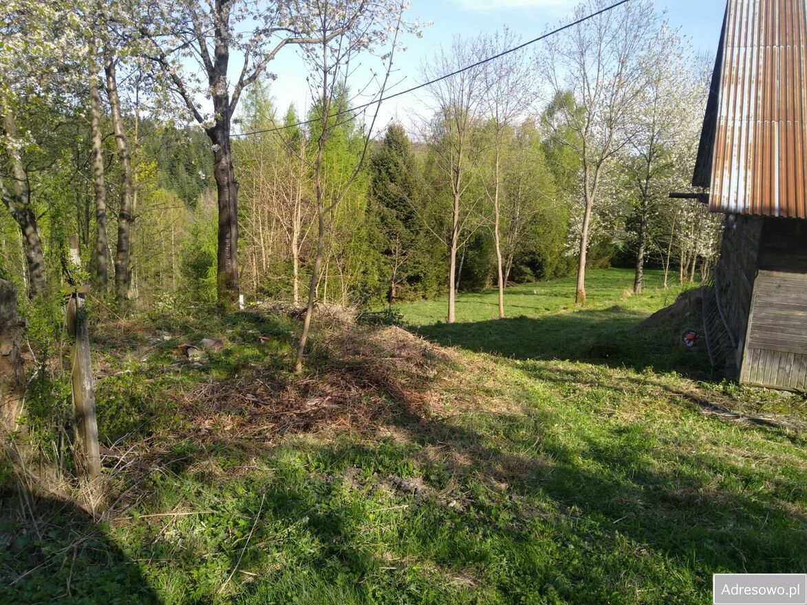 Działka siedliskowa Targoszów. Zdjęcie 5