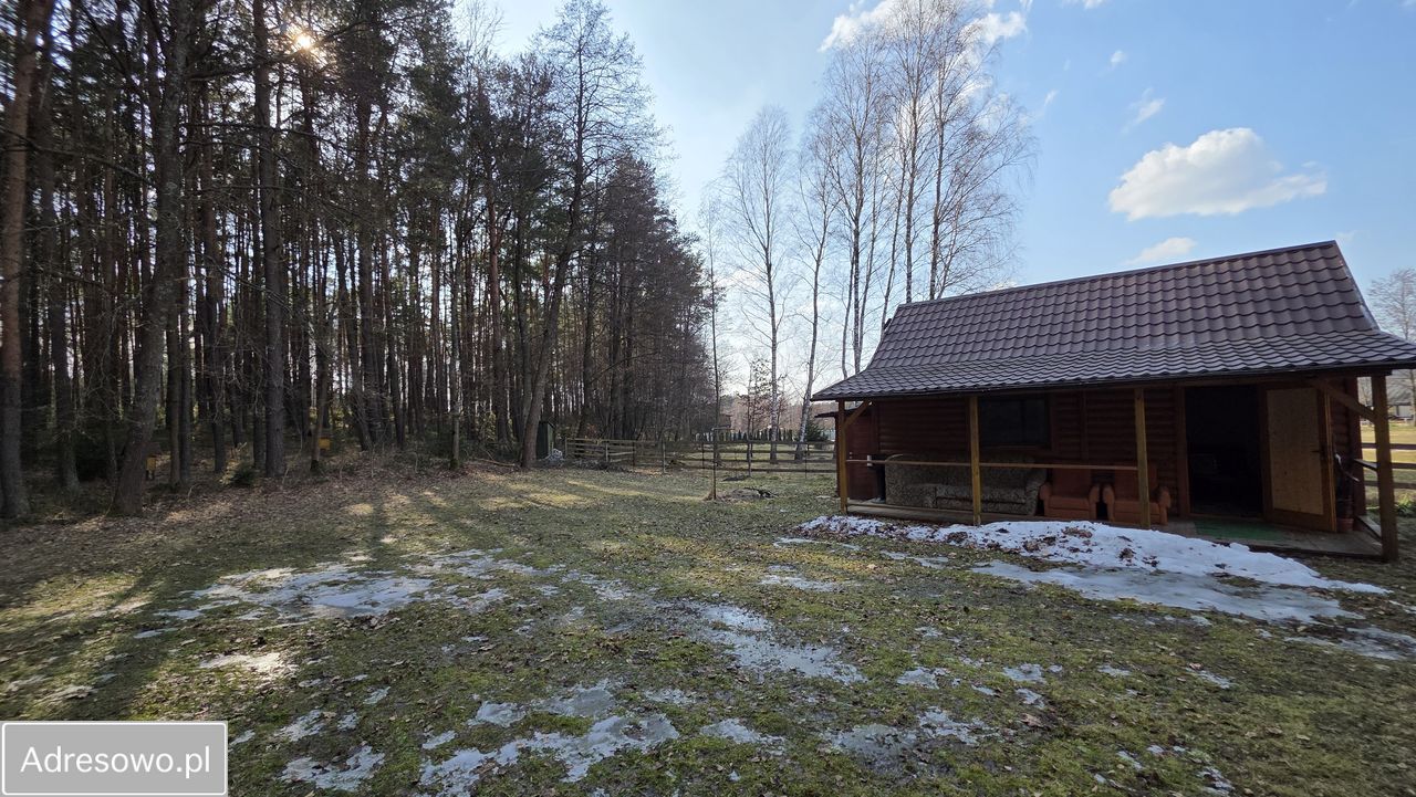 Działka leśna Wólka Łosiniecka. Zdjęcie 4