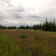 Działka rolna Grabówko. Zdjęcie 6