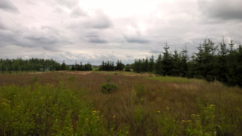 Działka rolna Grabówko. Zdjęcie 6