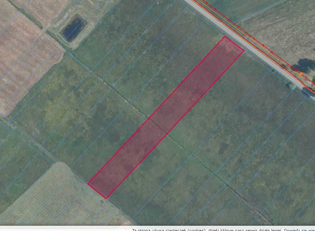 Działka rekreacyjna Stara Wieś. Zdjęcie 3