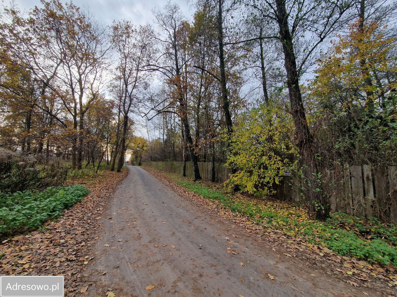 Działka budowlana Cholewy. Zdjęcie 9