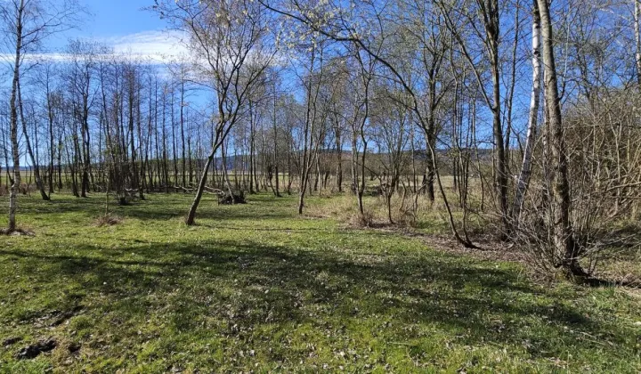 Działka budowlana Stary Wielisław