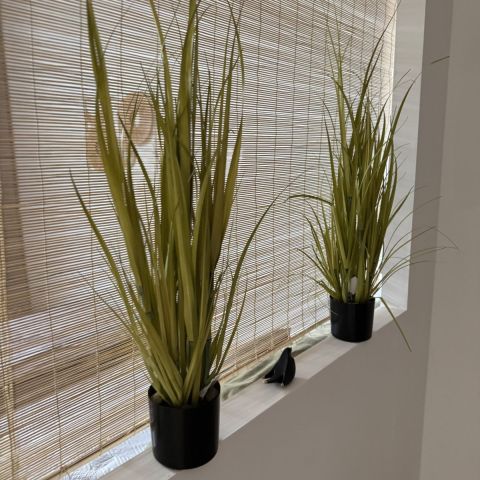 Mieszkanie 1-pokojowe Jelenia Góra. Zdjęcie 5