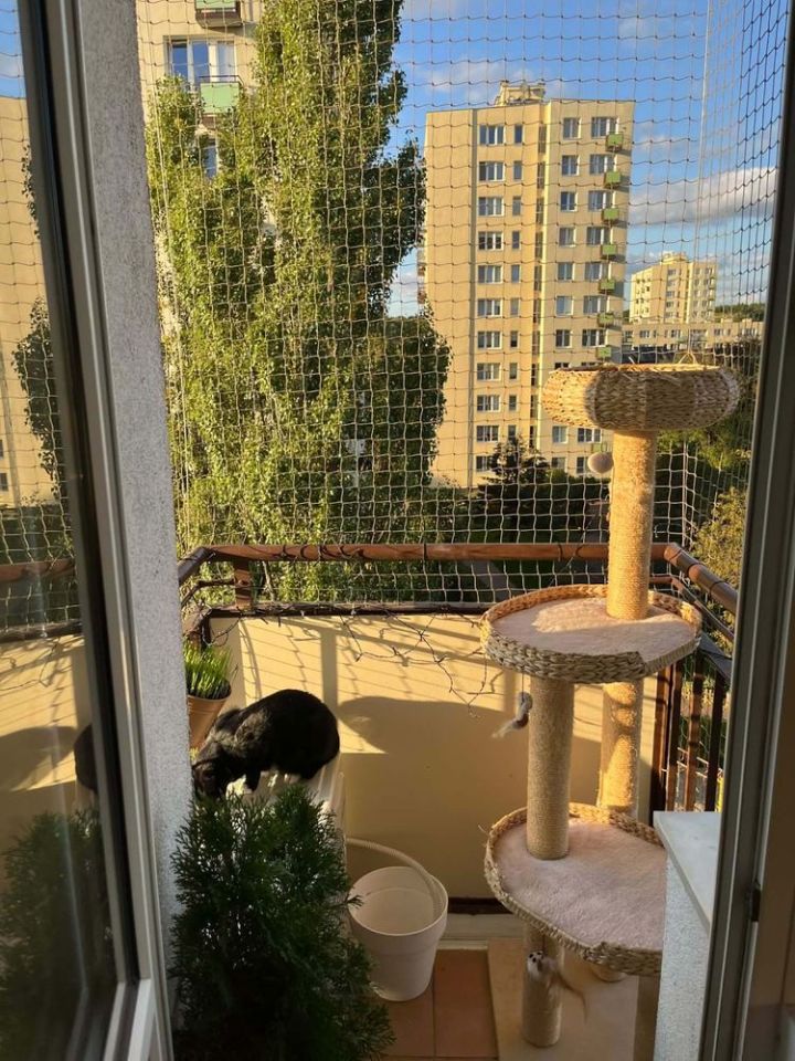 Mieszkanie 3-pokojowe Warszawa Marysin Wawerski, ul. Potockich. Zdjęcie 6