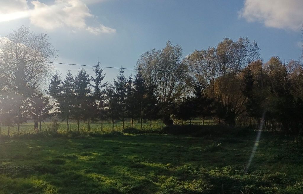 Działka budowlana Janowo. Zdjęcie 8