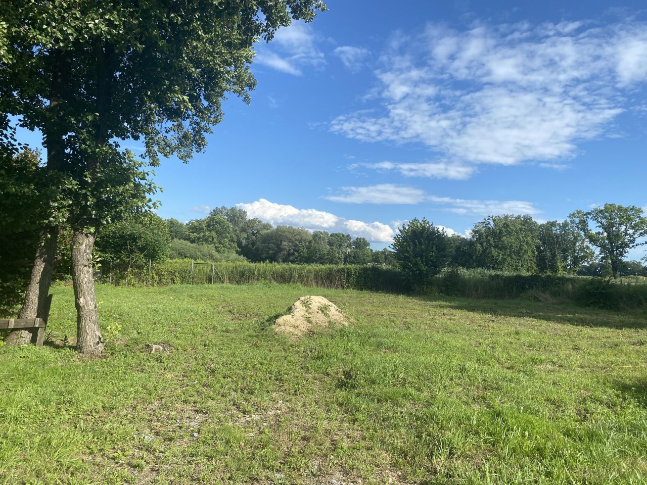 Działka budowlana Wilczyce, ul. Dworska. Zdjęcie 3