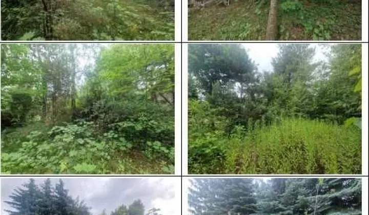 Działka budowlana Opacz-Kolonia