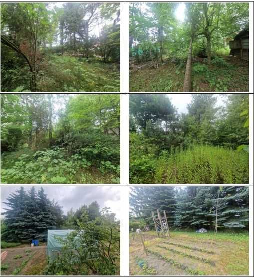 Działka budowlana Opacz-Kolonia