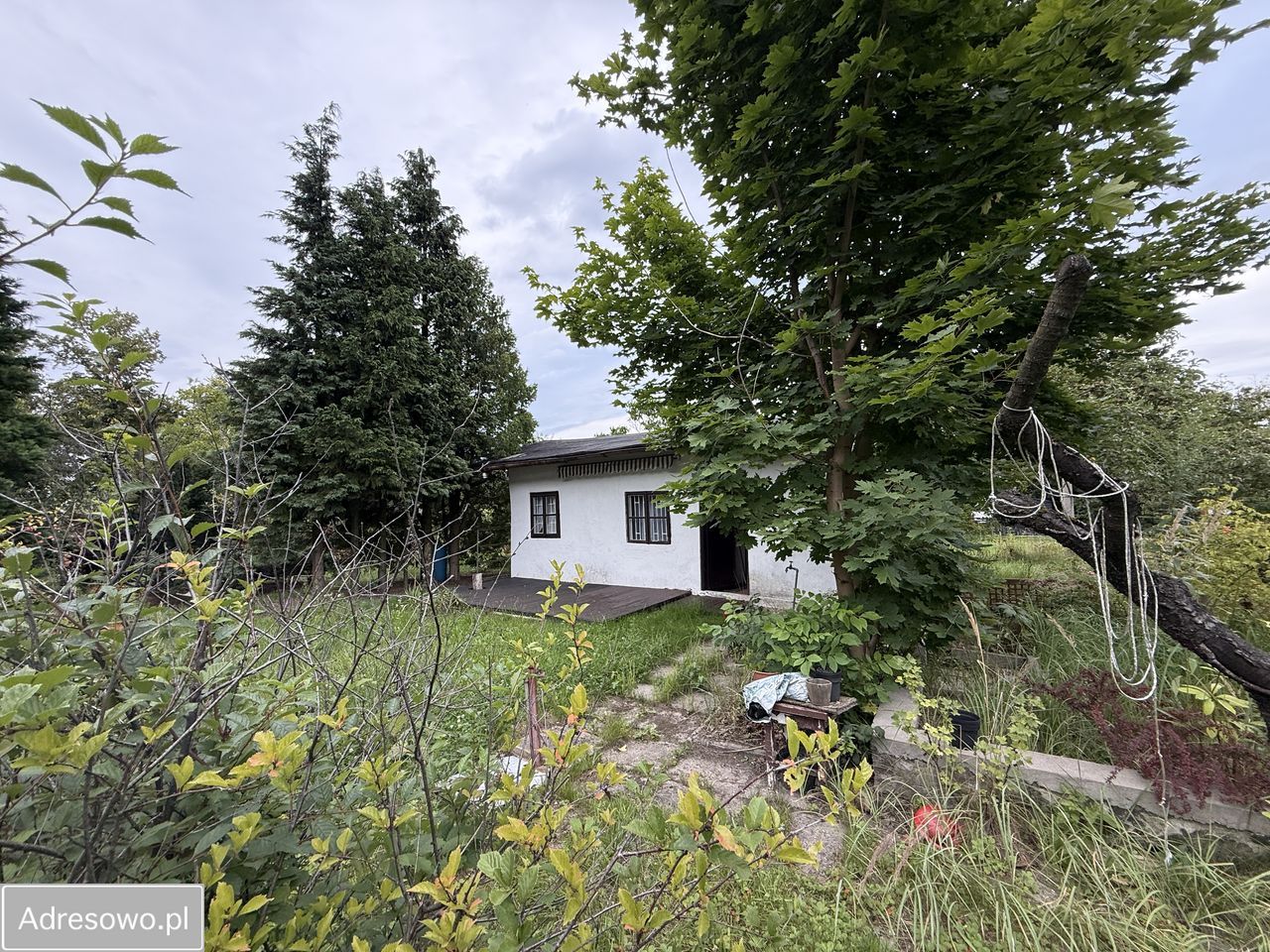 Działka rod Łódź Widzew. Zdjęcie 7