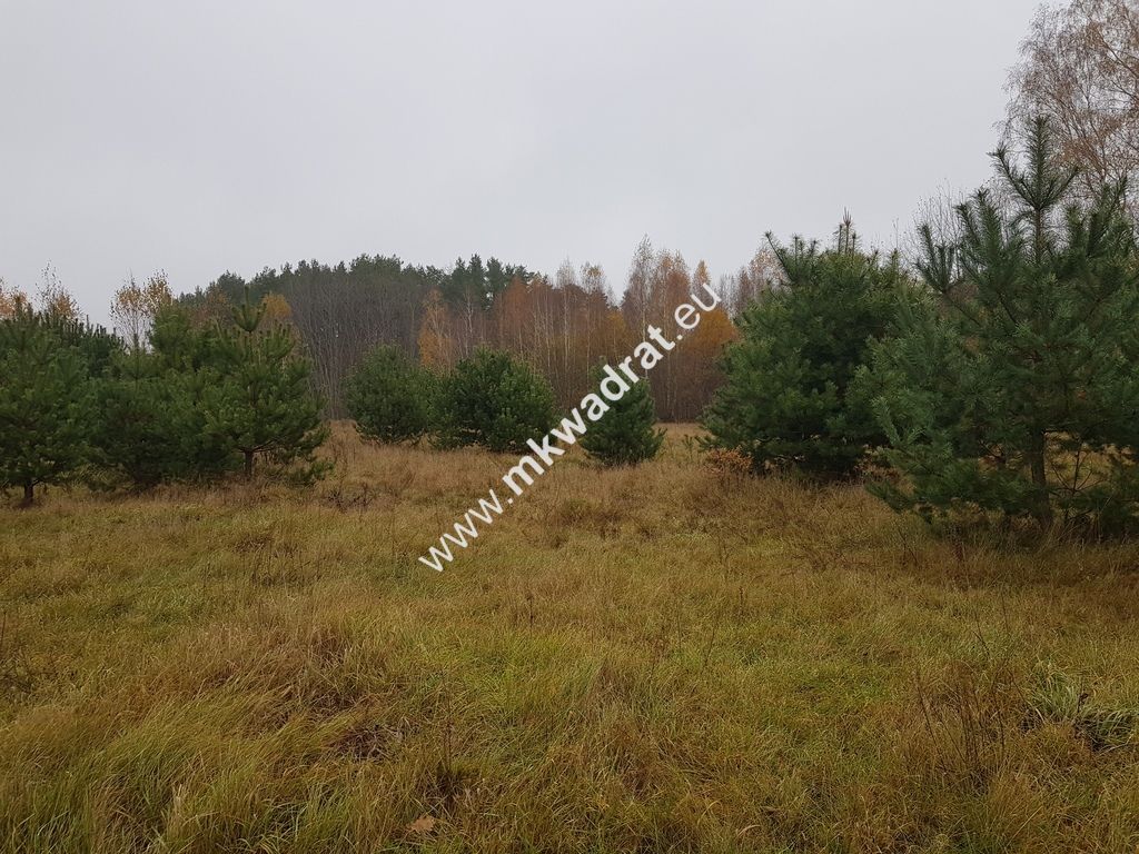 Działka budowlana Ojrzanów. Zdjęcie 3