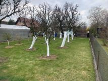 Działka rod Poręba, ul. Modrzewiowa. Zdjęcie 1