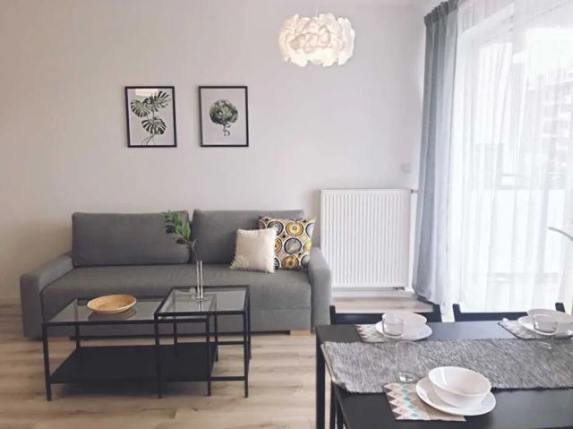 Mieszkanie 1-pokojowe Wrocław Krzyki, ul. Jesionowa. Zdjęcie 1