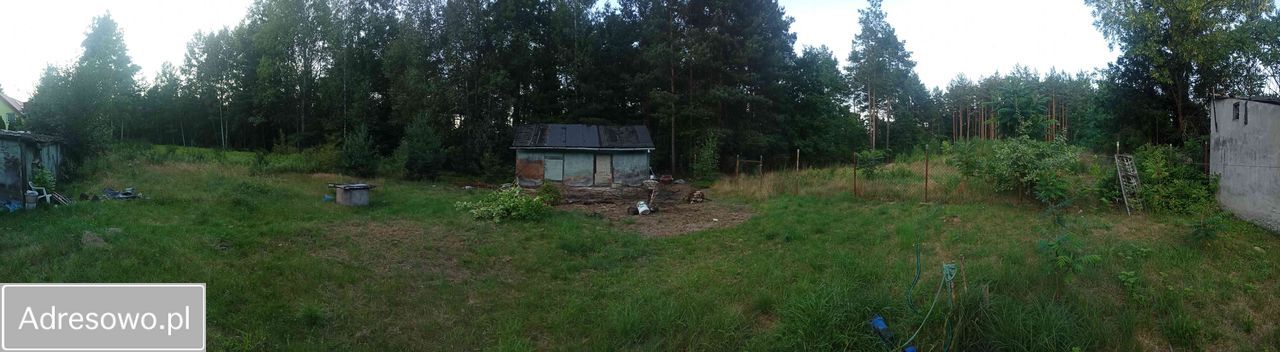 Działka budowlana Budy Barcząckie, ul. Sosnowa. Zdjęcie 4