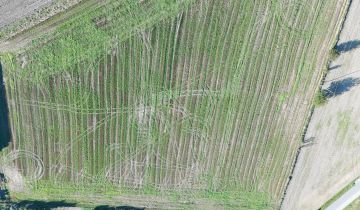 Działka budowlana Grębanin Grębanin-Kolonia Pierwsza