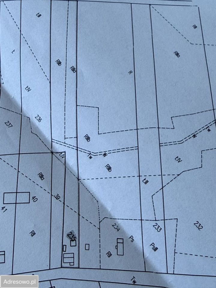 Działka siedliskowa Mojsławice. Zdjęcie 3