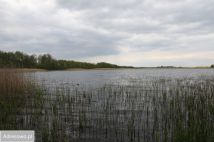 Działka budowlana Ławki. Zdjęcie 4