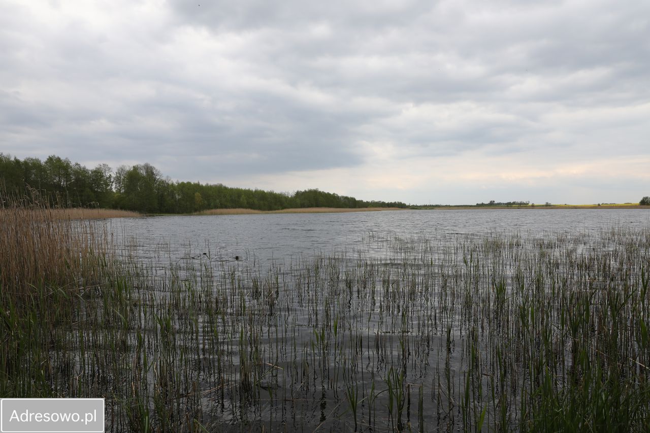 Działka budowlana Ławki. Zdjęcie 5