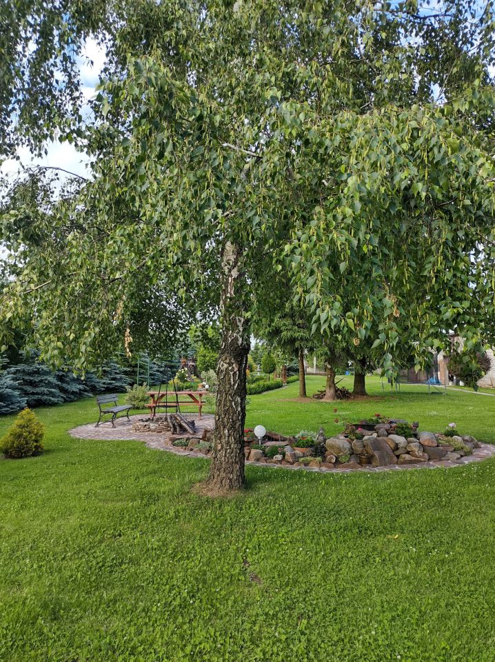 dom wolnostojący, 6 pokoi Mniów Raszówka, ul. Raszówka. Zdjęcie 29