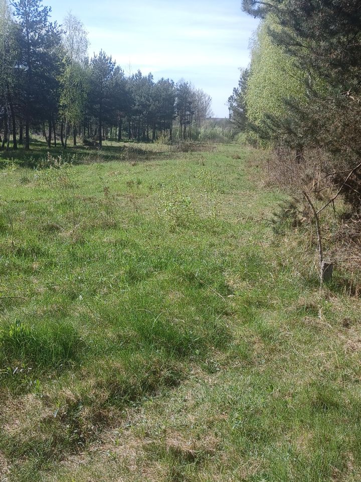 Działka budowlana Basznia Dolna Piaski, ul. Sportowa. Zdjęcie 11