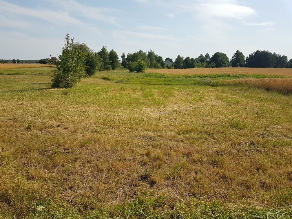 Działka budowlana Kozłówka