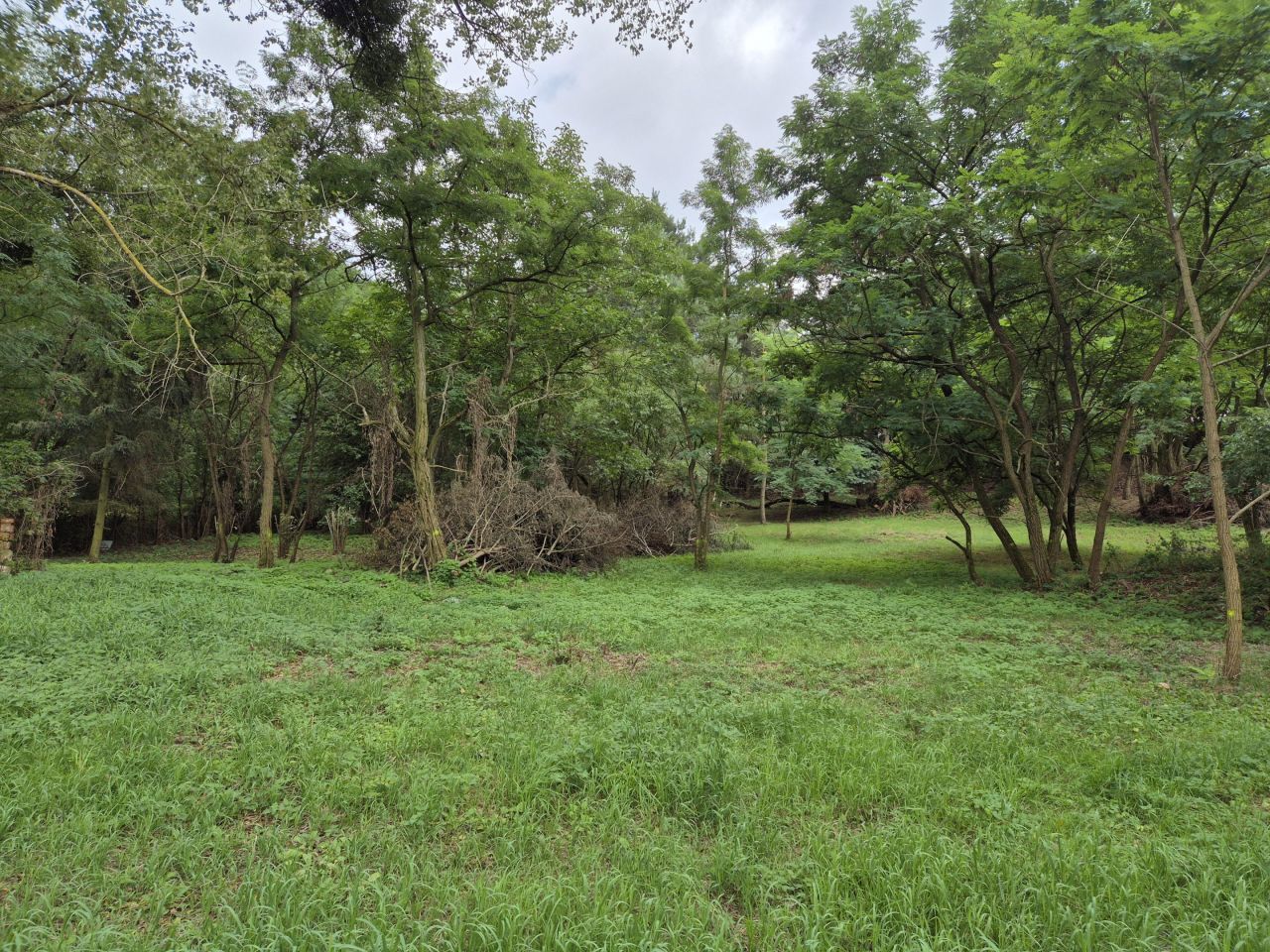 Działka rolno-budowlana Zgoda. Zdjęcie 7