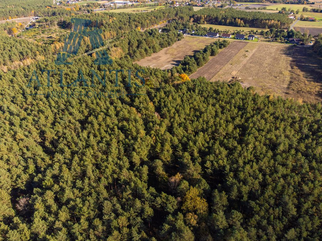 Działka budowlana Januszkowo. Zdjęcie 6