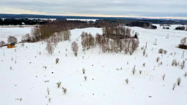 Działka budowlana Kozin. Zdjęcie 3