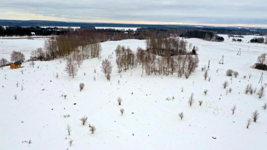 Działka budowlana Kozin. Zdjęcie 3