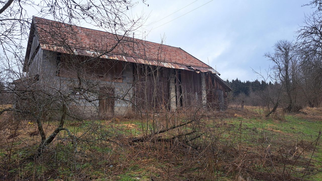 siedlisko Wola Krzywiecka Kamionka. Zdjęcie 3