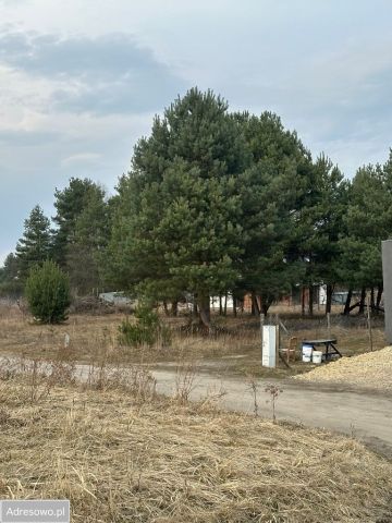 Działka budowlana Miasteczko Śląskie, ul. Klonowa. Zdjęcie 1